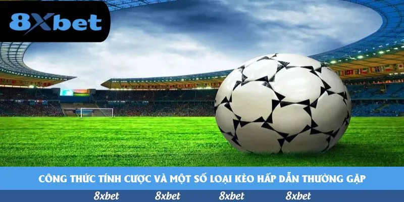 Công thức tính cược và một số loại kèo hấp dẫn thường gặp